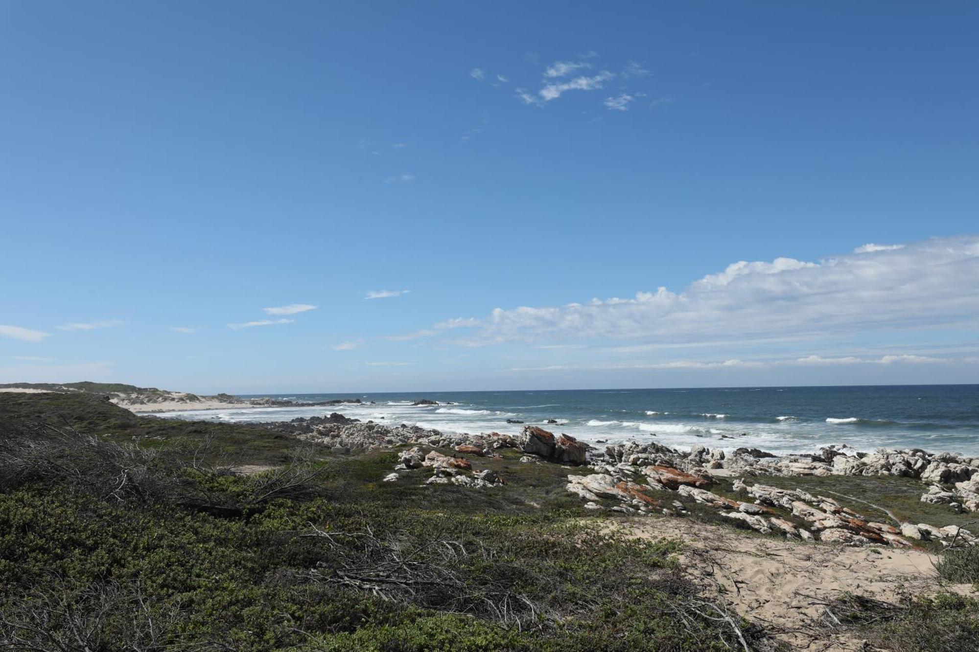 Bed and Breakfast Admiralty Beach House à Port Elizabeth Extérieur photo